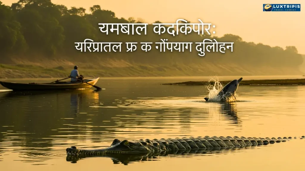 चंबल सफारी घड़ियाल और गंगा डॉल्फिन का अनोखा अनुभव