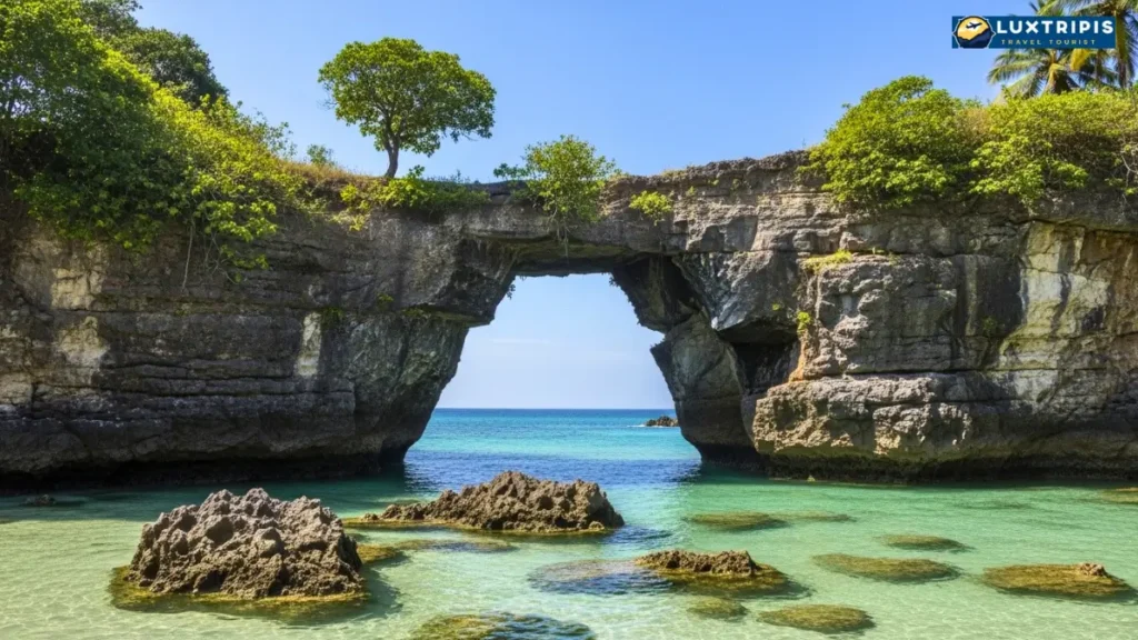 Neil Island के पास 150 किलोमीटर के दायरे में घूमने की जगहें  बीच, आइलैंड और नेचर स्पॉट्स की शानदार लिस्ट!