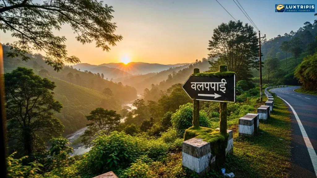 सुबह वलपराई हिल स्टेशन की तरफ